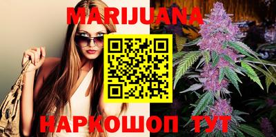 гидропоника Сланцы