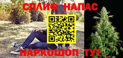 гидропоника Сланцы