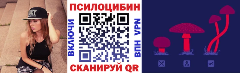 как найти наркотики  Шебекино  Галлюциногенные грибы Magic Shrooms 
