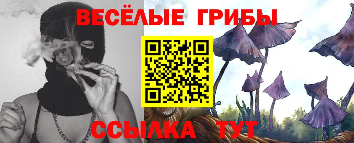 Псилоцибиновые грибы MAGIC MUSHROOMS Шебекино