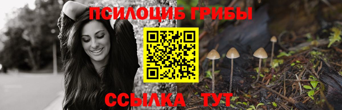 Галлюциногенные грибы мицелий  Галлюциногенные грибы Psilocybe  Шебекино  Вход с VPN 